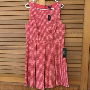 The Limited Printed Dress